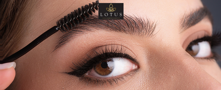 Lotus, točka kozmetike in estetike, laminacija obrvi - Kuponko.si