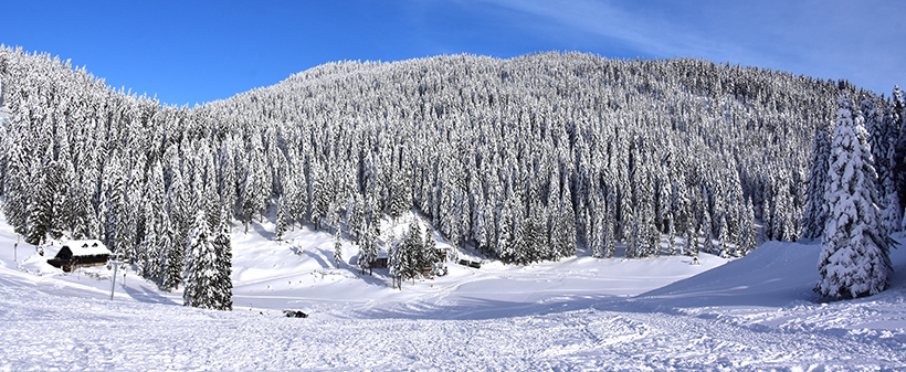 Golte, Wellnes Hotel Montis, smučarske počitnice - Kuponko.si