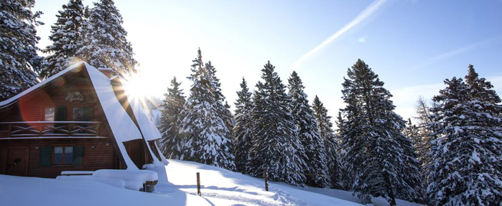Tree House Alpinka, Krvavec - oddih v dvoje - Kuponko.si