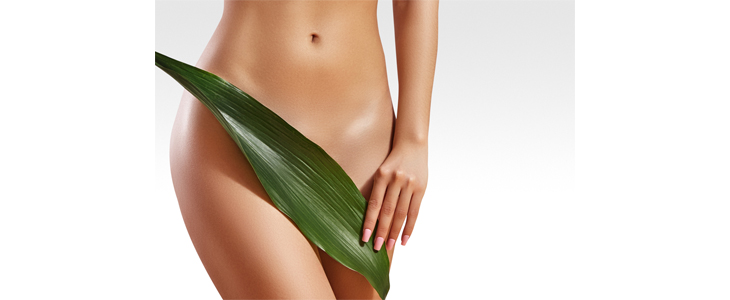 Holos; Ipl laser, predel bikini linija-brazil - Kuponko.si