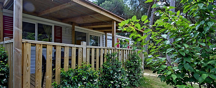 Brioni Sunny kamp**, Pula, Hrvaška - Kuponko.si