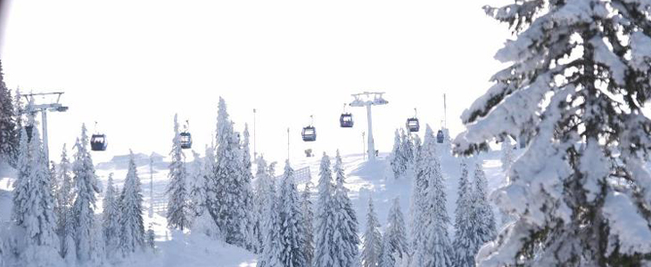 Apartmaji Rustika, Jahorina, 7x nočitev - Kuponko.si