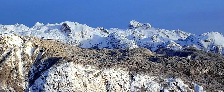 Penzion Rožič, Bohinj, 2x nočitev z zajtrkom - Kuponko.si