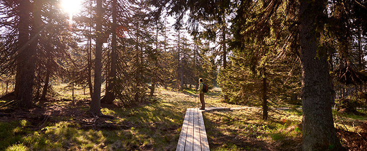 bungalovi Macesen**** Rogla, Slovenija - Kuponko.si