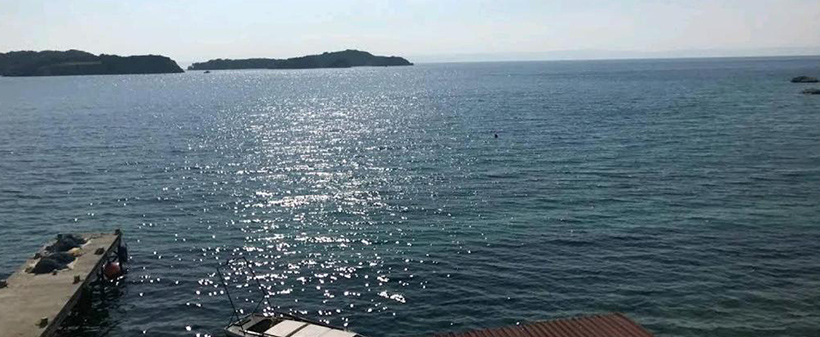 Apartma Noemy, Rab: pomladni oddih - Kuponko.si