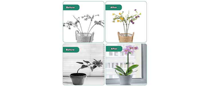 Opora za rastline (5 kosov) – Planty - Kuponko.si