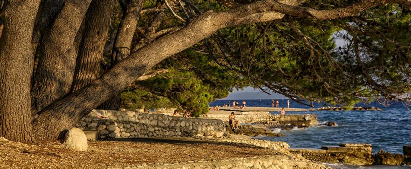 Kamp Baško Polje, Baška Voda: mobilne hiške - Kuponko.si