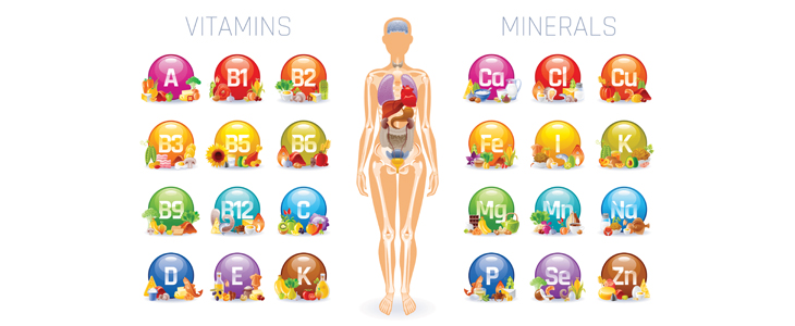 Harmonija: izmera stanja vitaminov in mineralov - Kuponko.si