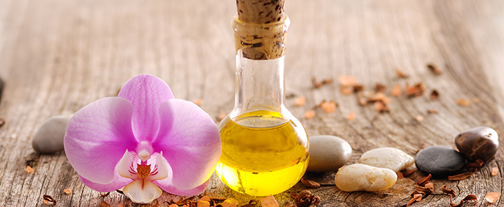 Terme Ptuj, aroma masaža z oljem orhideje in jojobe - Kuponko.si