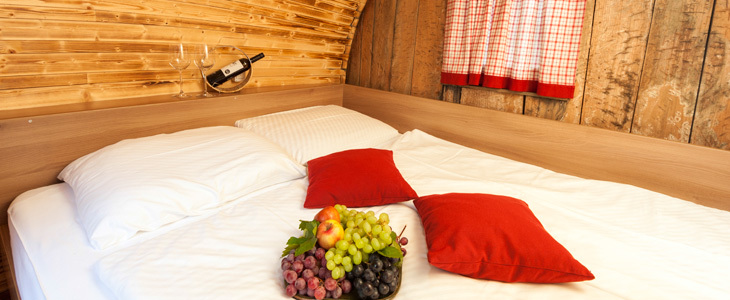 Glamping Vinska vas Terme Ptuj: glamping v vinskem sodu - Kuponko.si