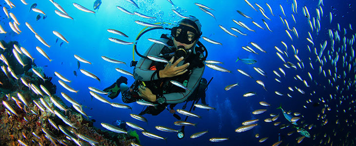 Padi Scuba Diver Fiesa: tečaj potapljanja - Kuponko.si