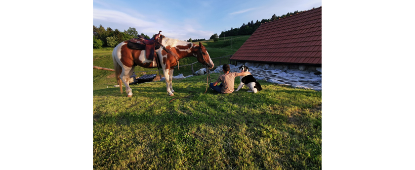 Kmetija Čož, 3-urno terensko jahanje - Kuponko.si