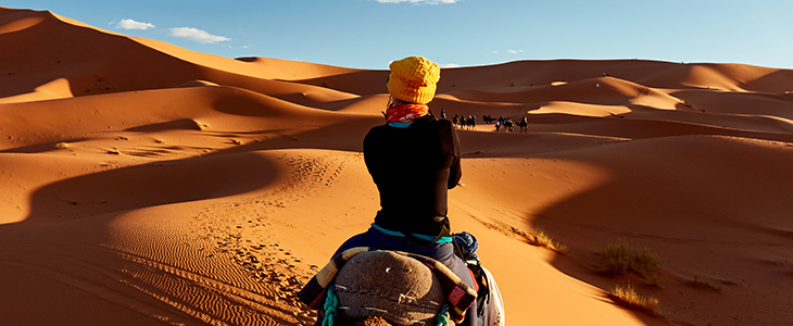 Potovanje v Egipt: križarjenje po Nilu, Kairo in Giza  - Kuponko.si