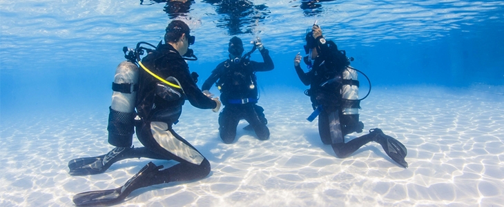 Oceandiving Koper: potapljaški program s predavanjem - Kuponko.si