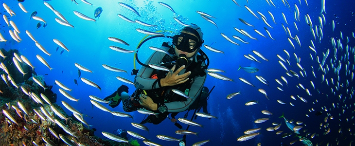 Oceandiving Koper: potapljaški program s predavanjem - Kuponko.si