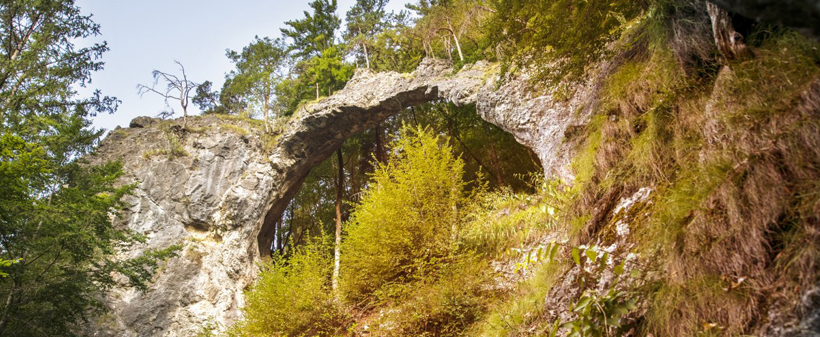 Ekološki hotel Arche, gorski oddih - Kuponko.si