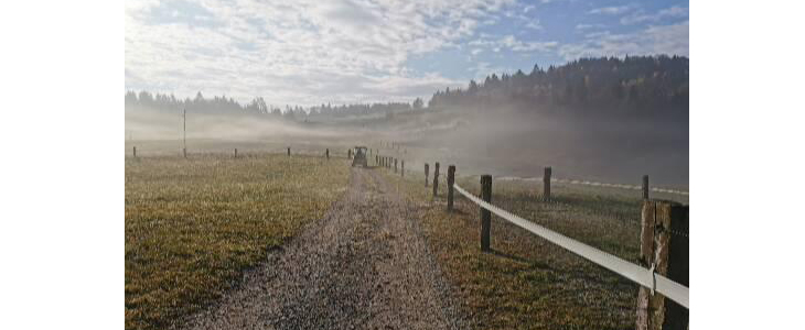 Kamp Kmetija Čož, najem kamping parcele - Kuponko.si