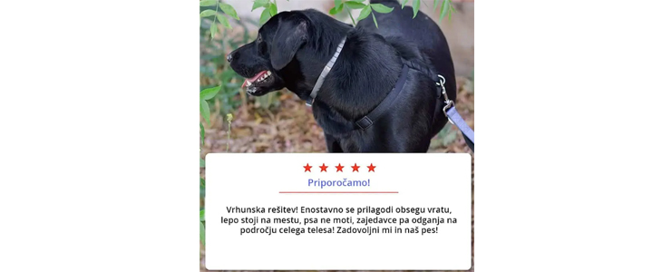 Ovratnica proti zajedavcem Animal Protect - Kuponko.si