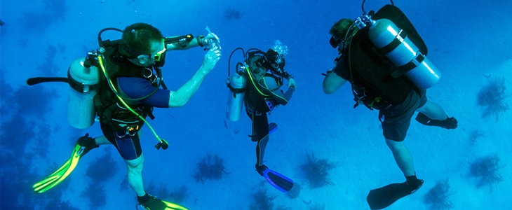 Padi Scuba Diver Fiesa: tečaj potapljanja - Kuponko.si