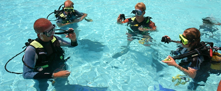 Padi Scuba Diver Fiesa: tečaj potapljanja - Kuponko.si