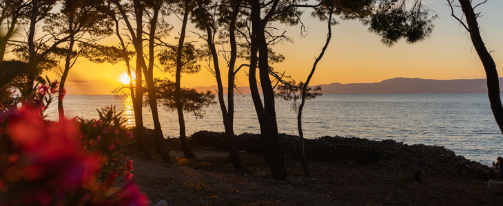 Boutique kamp Bunja, Brač: luksuzne mobilne hiške - Kuponko.si