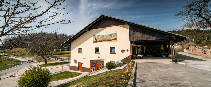 Kmetija Čož, jahalni tabor za otroke - Kuponko.si