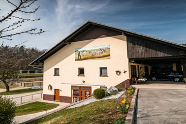 Kmetija Čož, jahalni tabor za otroke, enodnevno varstvo