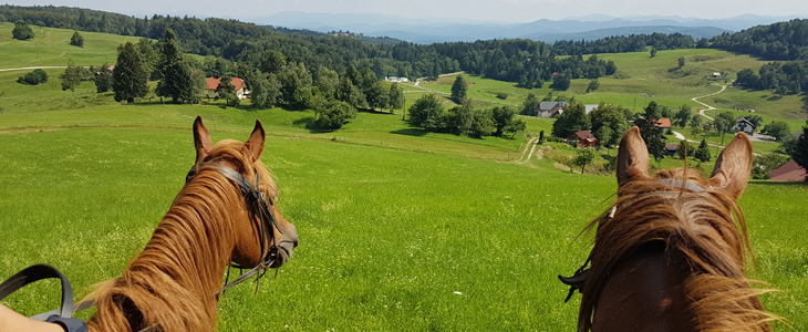 Kmetija Čož, jahalni tabor za otroke, enodnevno varstvo - Kuponko.si