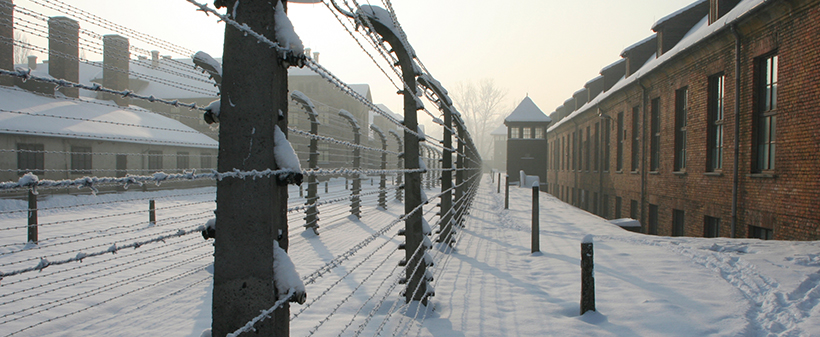 goHolidays, Auschwitz in Krakov: avtobusni izlet, 3 dni - Kuponko.si