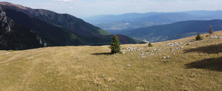 Villa Ugar Vlašić v Babanovcu, Bosna in Hercegovina - Kuponko.si