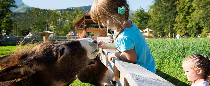 Eco Resort kupon, Velika Planina, wellness oddih - Kuponko.si