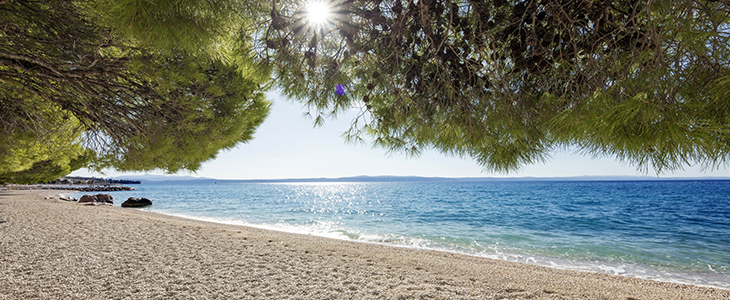 Bluesun hotel Alga****, Makarska - Kuponko.si