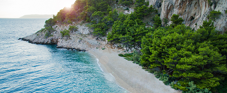 Bluesun depandansa Maslinik***, Makarska Riviera - Kuponko.si