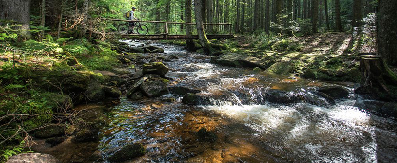 Wellness & Spa Hotel Bolfenk 4*, Pohorje: oddih - Kuponko.si