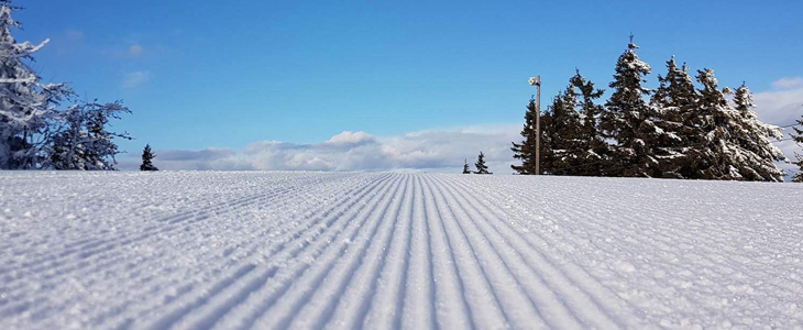 Forest hotel Videc***, Mariborsko Pohorje - Kuponko.si