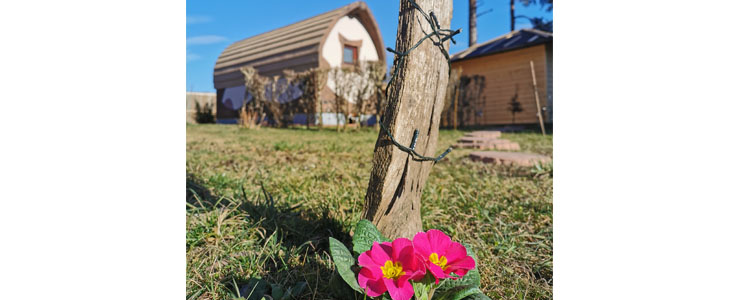 Wellness Pine Heaven: najem savne in masažnega bazena - Kuponko.si