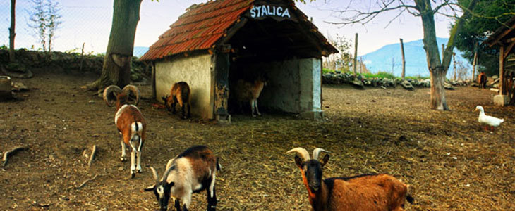 Stara Vodenica, Klanjec: oddih s polpenzionom in savno - Kuponko.si