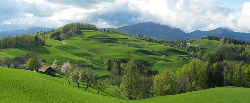 Turistična kmetija Ljubica: zimske počitnice - Kuponko.si