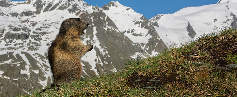 M&M turist: alpska gorska cesta Grossglockner - Kuponko.si