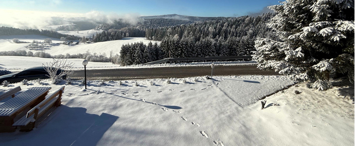 Gozdna hiška Evi, Mariborsko Pohorje, najem - Kuponko.si