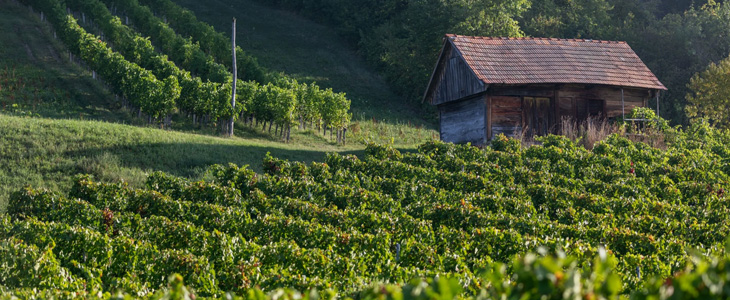 Turistična kmetija Marof, dan žena - Kuponko.si