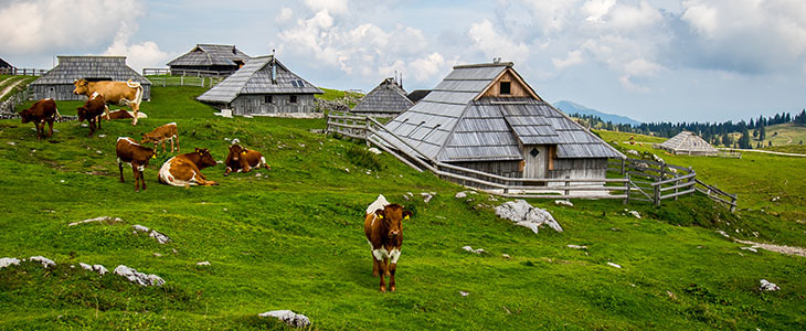 3-urni zakup wellnessa s finsko savno - Kuponko.si