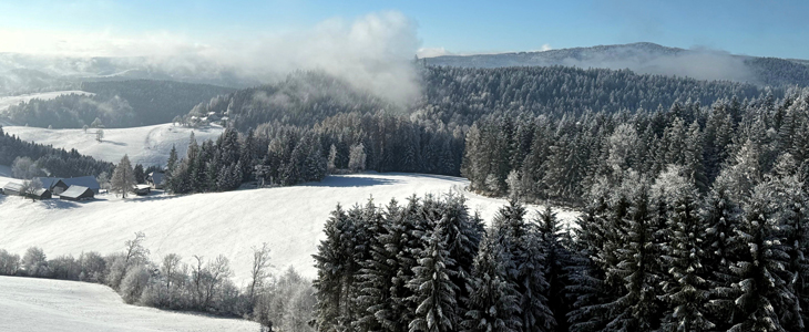 Gozdna hiška Evi, Mariborsko Pohorje, najem - Kuponko.si