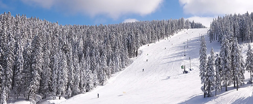 Hotel Natura 4*, Rogla: oddih s polpenzionom - Kuponko.si