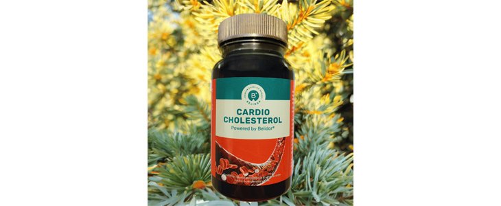 Belidor® Cardio Cholesterol, prehransko dopolnilo - Kuponko.si