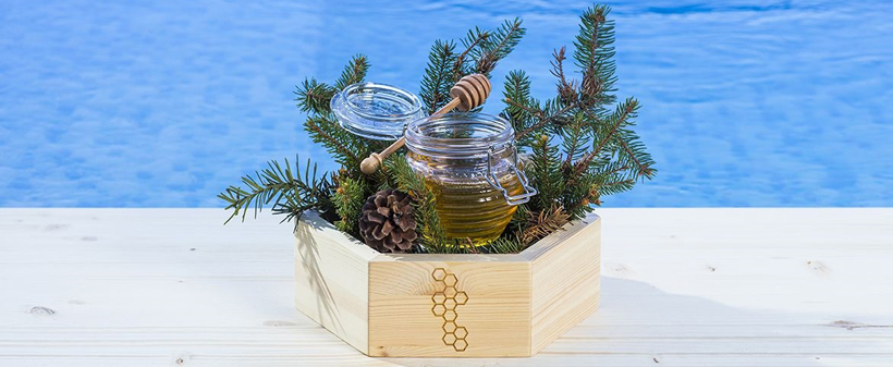 Wellness Živa, Bled: aromatična masaža, savna, kopanje - Kuponko.si