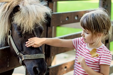 HUDA CENA za vstopnico v živalski park Na Jasi z več ko HUDA CENA za vstopnico v živalski park Na Jasi z več ko