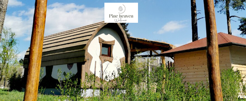 Wellness Pine Heaven: detox paket - Kuponko.si