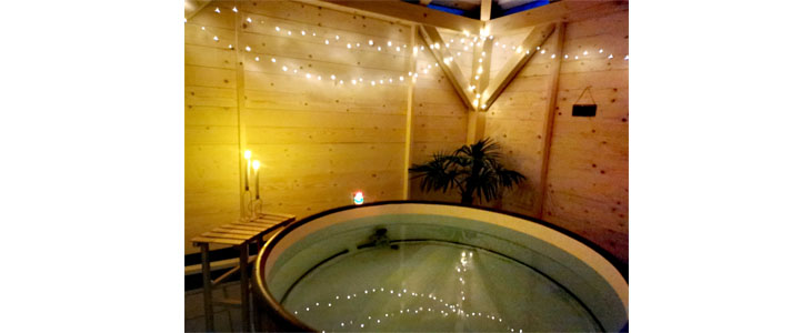 Wellness Pine Heaven: detox paket - Kuponko.si