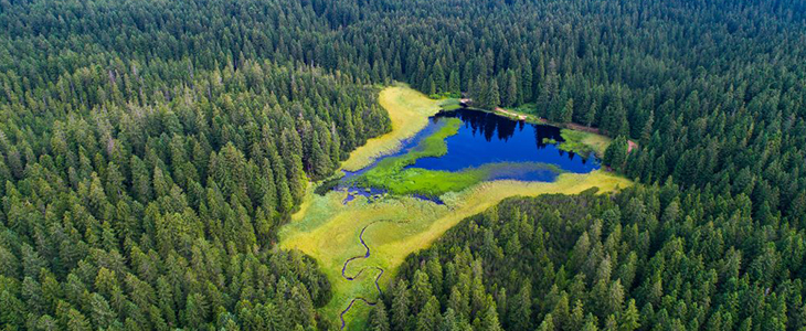 Pohorje Village Wellbeing Resort: gondola in piknik - Kuponko.si